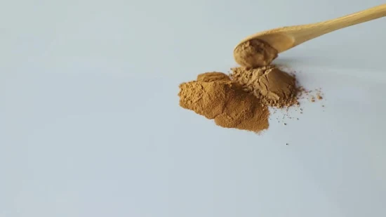 Extracto de planta de hongo de cola de pavo orgánico, polvo de hierbas de hongo Cordyceps Sinensis, extracto de hongo Reishi como mezcla de hongos