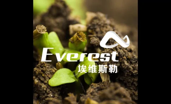 Aminoácido vegetal Everest 80% en polvo